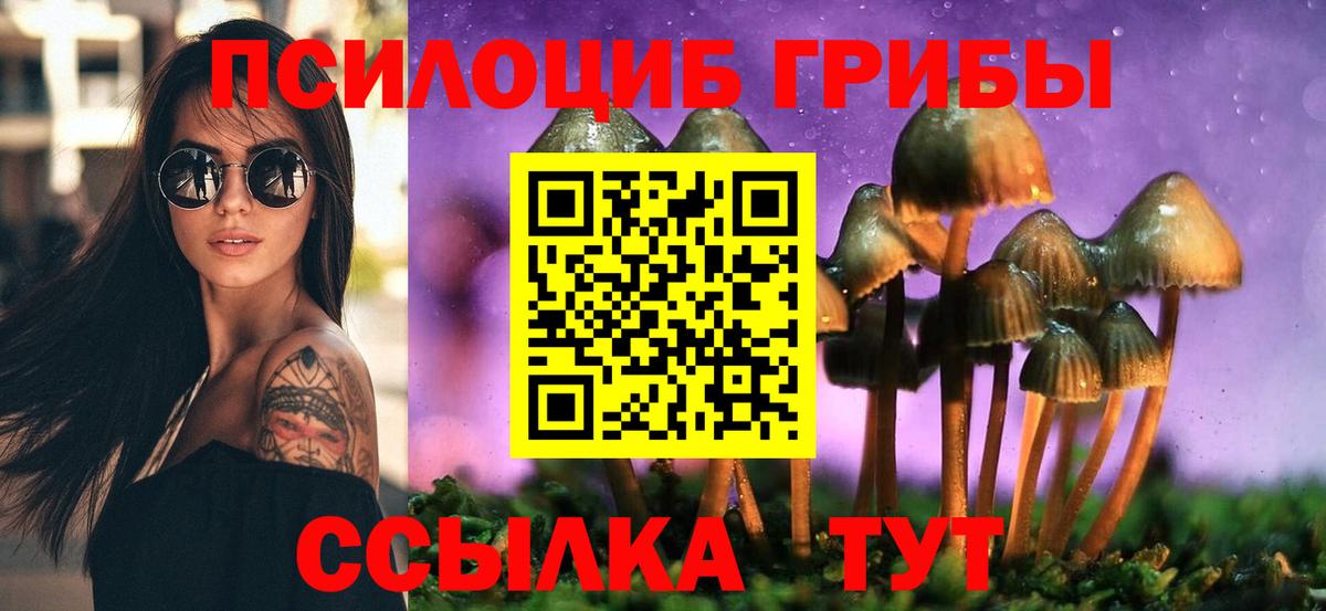Псилоцибиновые грибы мухоморы Новый Уренгой